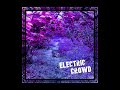 electric crowd