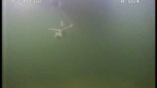 INFOMAR Seabed Sampling