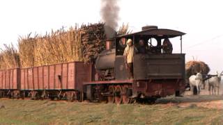 Sugar Cane Railway in India