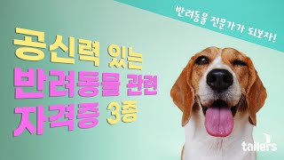 반려동물 전문가가 되보자! 공신력 있는 반려동물 자격증 3종 with CLOVA Dubbing