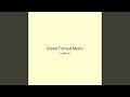 Forest Tranquil Mystic