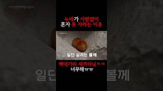 사람이 없으면 답이 없는 놈들ㅠㅠ