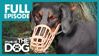 The Demonic Doberman: Harvey | Full Episode | It's Me or the Dog
