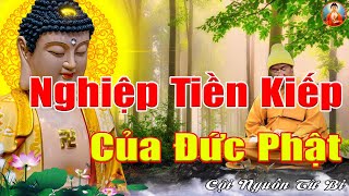 Kể Chuyện Phạt Giáo - Nghiệp Tiền Kiếp Của Đức Phật Với Luật Nhân Quả Luân Hồn Khiến Ai Cũng Rơi Lệ