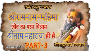 जीव का परम विश्राम श्रीनाम महाराज ही है।। श्रीरामनाम महिमा।।#shrirajendradasjimaharaj #ram #krishna