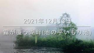 透明水彩で描く　霧に覆われる湖畔(池の平いもり池)2021年12月13日