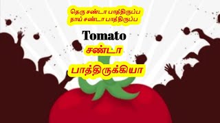 தெரு சண்டா பாத்திருப்ப நாய் சண்டா பாத்திருப்ப Tomato பார்த்திருக்கியா!!😱😱🤔