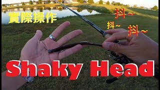 【LH2】路亞軟餌- 搖搖頭?! 實釣 (Shaky Head Fishing)