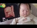 babyvlog how similar are the stereophonic sonogram and the actual baby s look