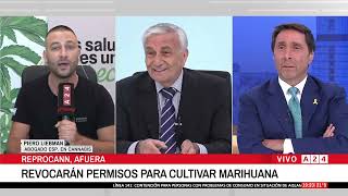 🟢Eduardo Feimann se cruzó con Pablo Liebman, abogado especialista en Cannabis