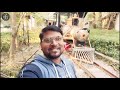 kanpur zoo कानपुर चिड़ियाघर 2023 allen forest zoo kanpur zoological park zoo