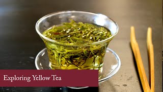 Exploring Yellow Tea