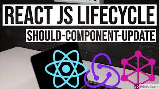 React JS LifeCycle getSnapshotBeforeUpdate #28