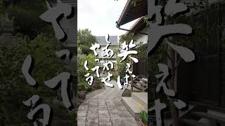 天長寺 門前参拝 お言葉 (2023.4) #shorts #temple #japan