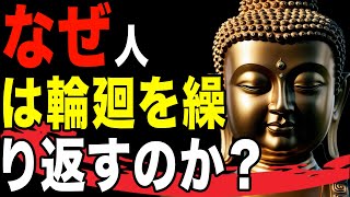 なぜ人は輪廻転生を繰り返すのか？ その終着点とは？- スピリチュアル