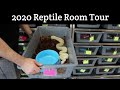 2020 Reptile Room Tour with Tons of Boa Morphs and Locality Examples