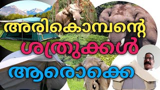 അരികൊമ്പൻ്റെ ശത്രുക്കൾ ആരൊക്കെ