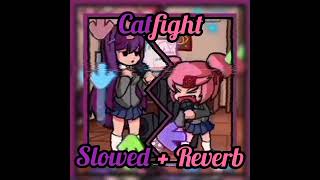 FNF vs Yuri 𝘾𝘼𝙏𝙁𝙄𝙂𝙃𝙏 Slowed + Reverb //Vs Doki Doki Takeover +