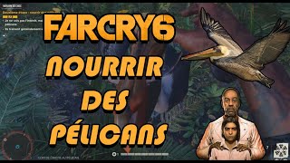 [ FAR CRY 6 🏆] NOURRIR DES PÉLICANS