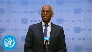 Security in Mali - Secretary-General Special Representative | United Nations | Security Council