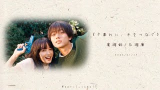 ヨルシカ-アルジャーノン｜中日歌詞｜日劇《黃昏時分，牽起手》ost ♫