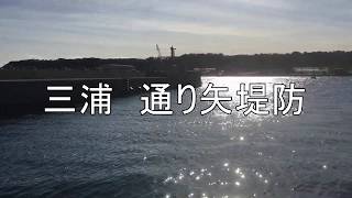 三浦　通り矢堤防【釣り場情報】Fishing point MIURA TORIYA BANK