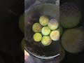 short ভরতা দিয়ে কাজির ভাত খাব cooking food vortarecipe