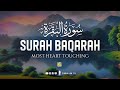 (NEW) Surah Al Baqarah Full سورة البقره (Heart touching voice) | Zikrullah TV