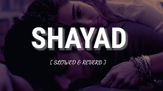 Shayad ( slowed+ Reverb ) | Arjit Singh | Dark Night Lofi