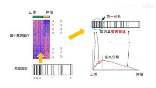 【生信分析 3】教你看懂GSEA和ssGSEA分析结果