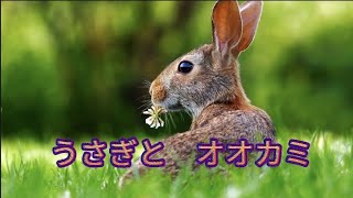 【うさぎとオオカミ】