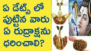 How to Wear rudraksha as per date.Numerology in Telugu.