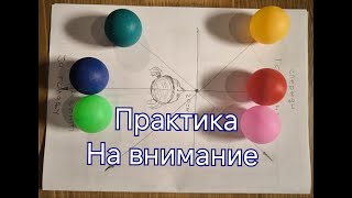 Практика на Внимание #Сорадение #Феникс #Внимание