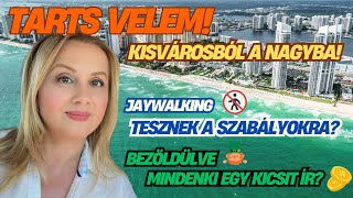 Ezek megőrültek!? Bárhol átkelnek az úton és zöldbe öltözve, sör mellett vigadnak. #fortlauderdale