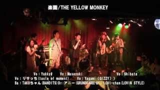 マリーにくちづけ Sweet\u0026Sweet 楽園 THE YELLOW MONKEY cover セッション