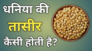 धनिया की तासीर | Dhaniya ki Taseer Kaisi Hoti Hai |  Coriander Ki Taseer Garam Hoti Hai Ya Thandi