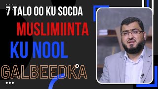 7 talo oo ku socda Muslimiinta Galbeedka ku nool.