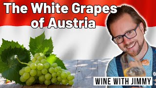 Mastering The Key White Grape Varieties of Austria For WSET Level 4