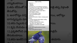 వీటిని చూసి నేర్చుకుందాం | Lifestyle Of Birds | పక్షులు ఎందుకు ఆరోగ్యంగా ఉంటాయ్