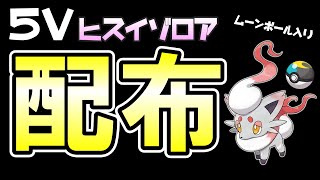 【配布】5Vヒスイゾロア【ポケモンSV】2023.3.4