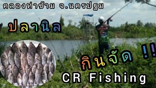 หมายนี้ กินดีจริงๆ !! ปลานิลเพียบ !! ตกปลา คลองท่าข้าม จ. นครปฐม CR Fishing