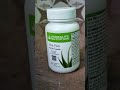 herbalife nutrition aloe plus