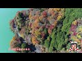 【山北町】丹沢湖の紅葉【４ｋ】