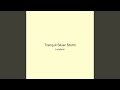Tranquil Silver Storm