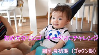 【離乳食初期】【生後５か月】【赤ちゃん】【初めて】キャベツ、リンゴにチャレンジ。ゴックン進まないよ～。