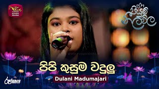 Pipi Kusuma Wadulu | පිපි කුසුම වදුලු | Dulani Madumajari | Piyum Neela Vila | Roo Tunes