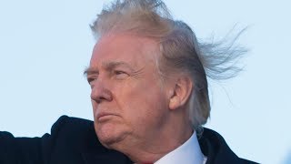 The Truth About Donald Trump's Hair Revealed