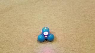 Using Blockly to Program Dash