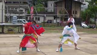 薩摩源氏蛍 黒崎よさこい祭り2019