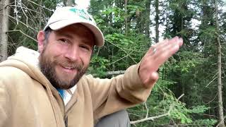 Waiting in the Wilderness with Nature Guide Rich Hanlon